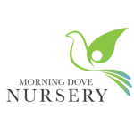 An image of the Morning Dove Nursery logo