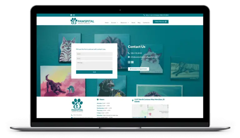 Web Design