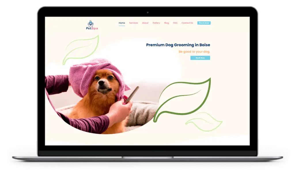 Web Design