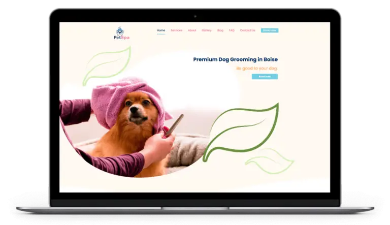 Web Design